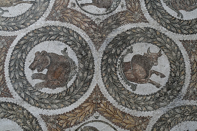 Musée du Bardo-025